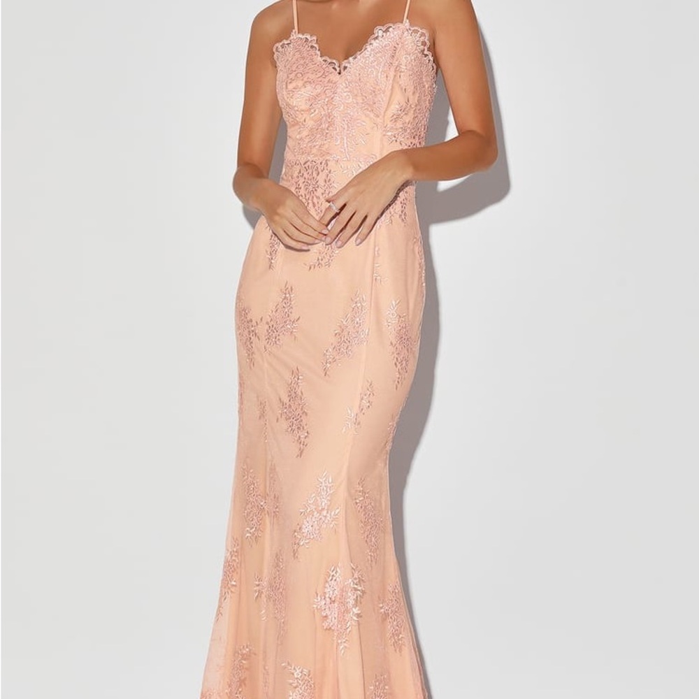 Blush Embroidered Sleeveless Maxi Dress